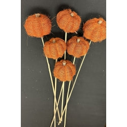 Coin Pumpkins on a Stick