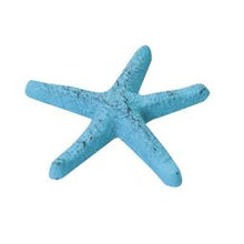 Load image into Gallery viewer, Starfish