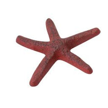 Load image into Gallery viewer, Starfish