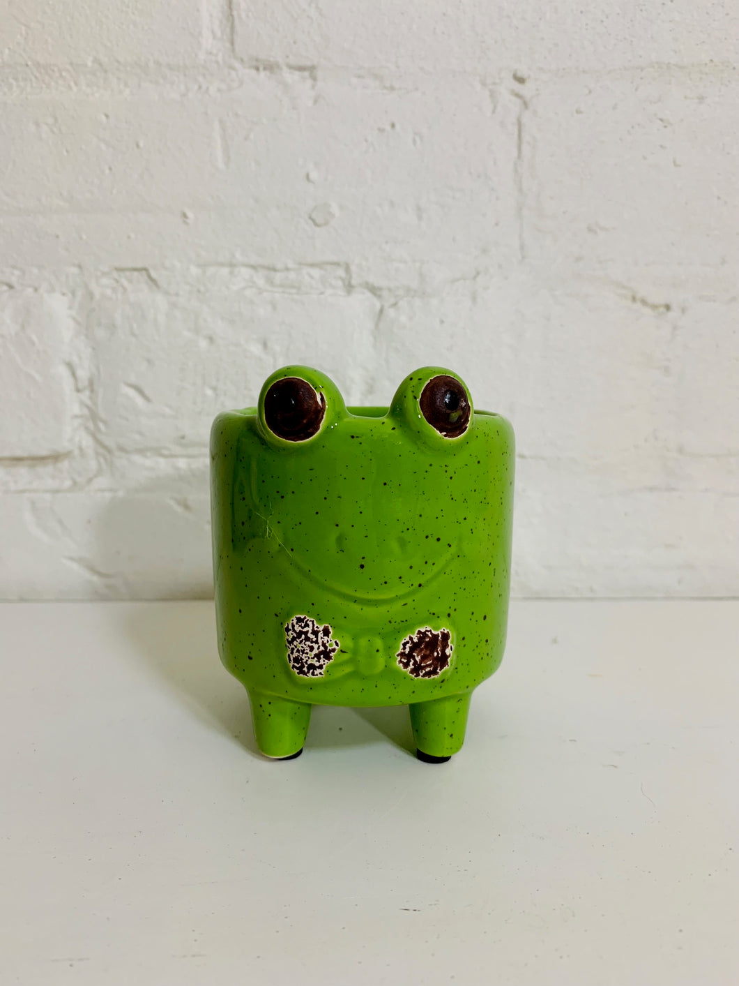 Frog Mini Planter