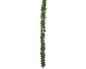 American Boxwood Garland