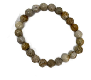 Fossil Coral 8Mm Bracelet