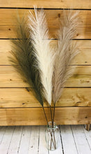 Load image into Gallery viewer, Faux Pampas Grass