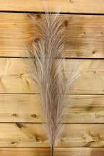 Load image into Gallery viewer, Faux Pampas Grass