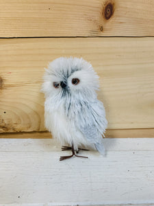 Standing Owl